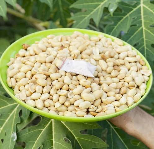 রোস্টেড থাই বাদাম ( তেলে ভাজা ) ২ কেজি