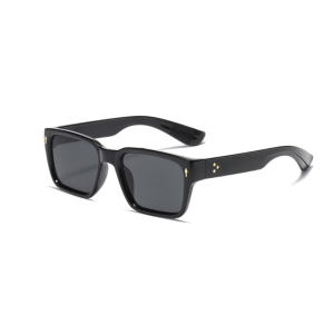 Boss Sunglass